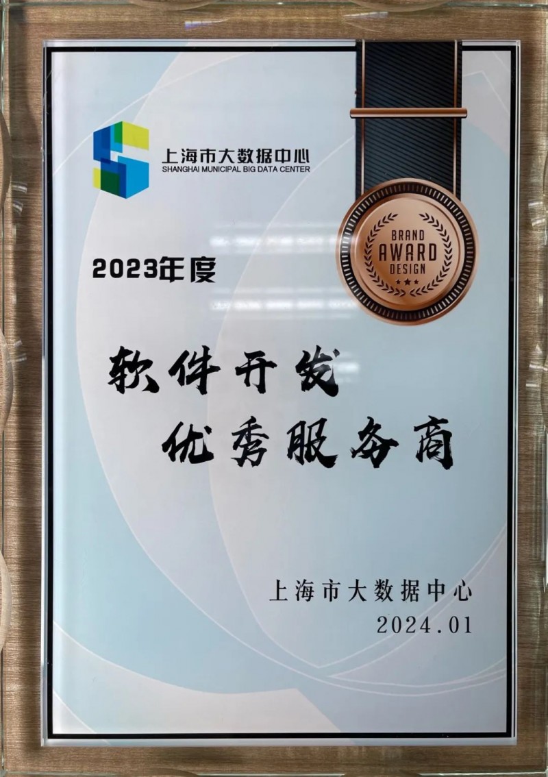 上海软件开发热潮：技术革新与市场需求的双重驱动